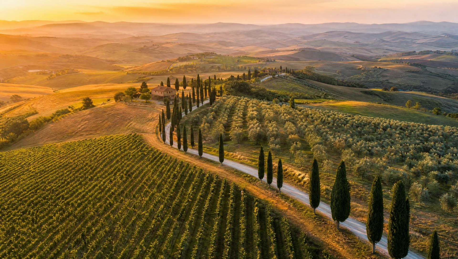 Colline toscane